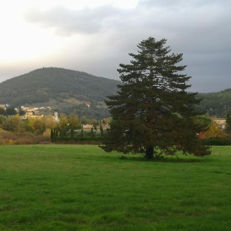 Open Space Nel Parco Con Parcheggio Gratuito فلورنس المظهر الخارجي الصورة