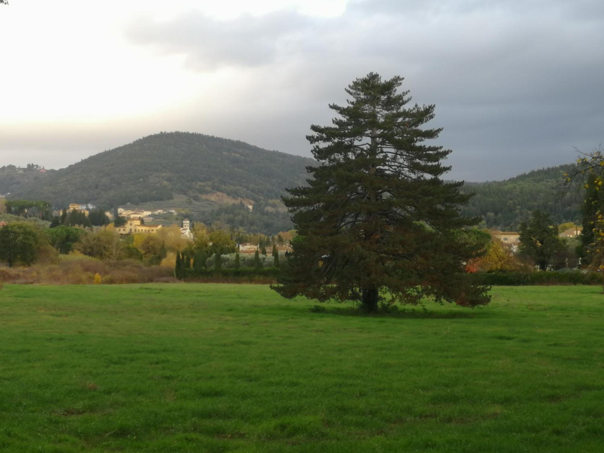 Open Space Nel Parco Con Parcheggio Gratuito فلورنس المظهر الخارجي الصورة